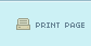 Print Page